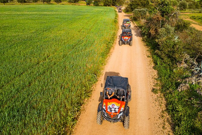 Albufeira: 1.5h Off-Road Buggy Tour - Dirt & Scenic Trails - Is the price good value?