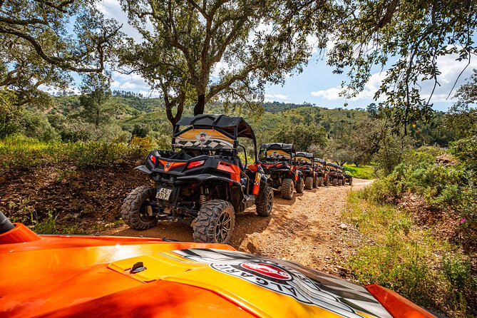 Albufeira: 1.5h Off-Road Buggy Tour - Dirt & Scenic Trails - Weather, cancellation, and practical planning