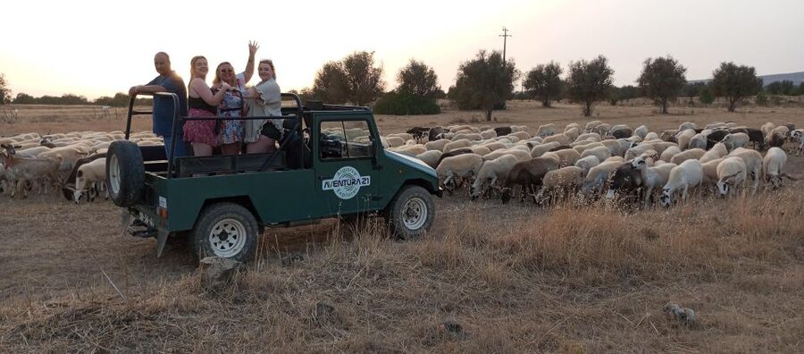 Albufeira: Jeep Safari Half-Day Countryside Tour - Paderne village, local shops, and a slower half hour