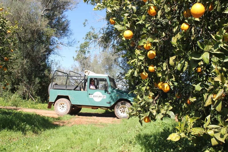 Albufeira Jeep Safari with Zoo - Practical advice before you go