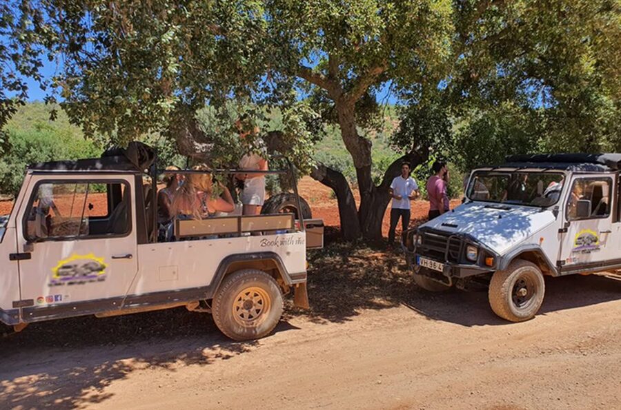Albufeira: Safari Excursion in the Algarve Mountains - Pico Alto viewpoint and the final climb