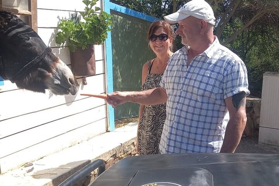 Albufeira Safari exploring villages, churches, castle & farm - Why this short Jeep safari works well
