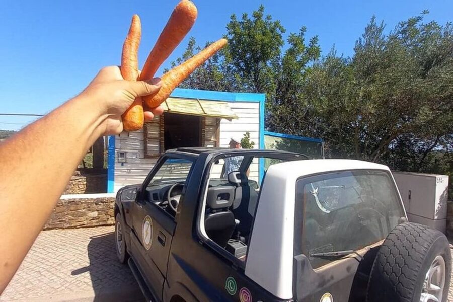 Albufeira Safari exploring villages, churches, castle & farm - Who will enjoy this tour most?
