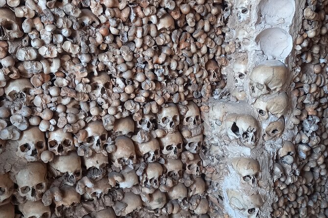 Albufeira Safari w/ Krazy World Visit, Bones & Animals - Two hours at Krazy World