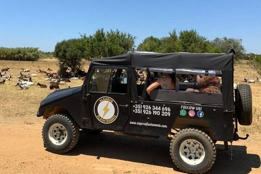 Albufeira Safari with entrance in Krazy World & Bone Chapel - Is $64 good value?