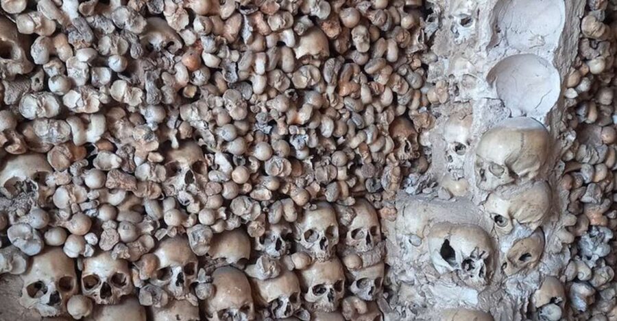 Albufeira Safari with entrance in Krazy World & Bone Chapel - Alcantarilha and its striking Bone Chapel