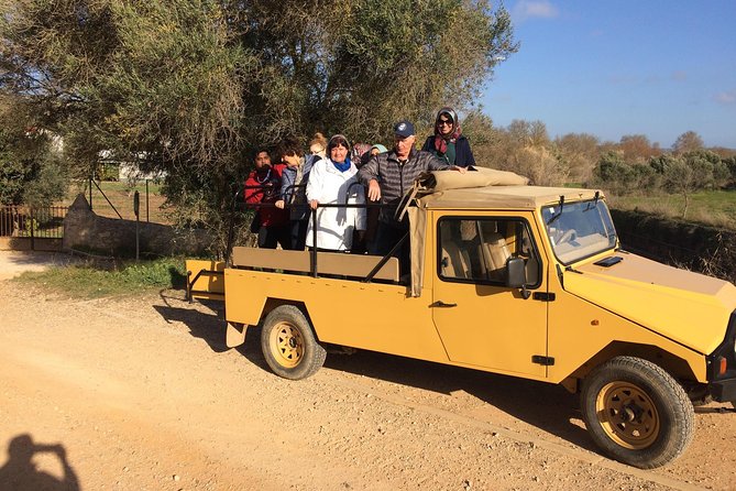 Algarve Jeep Safari - Day Trip - Paderne Castle: a short stop with a wide view
