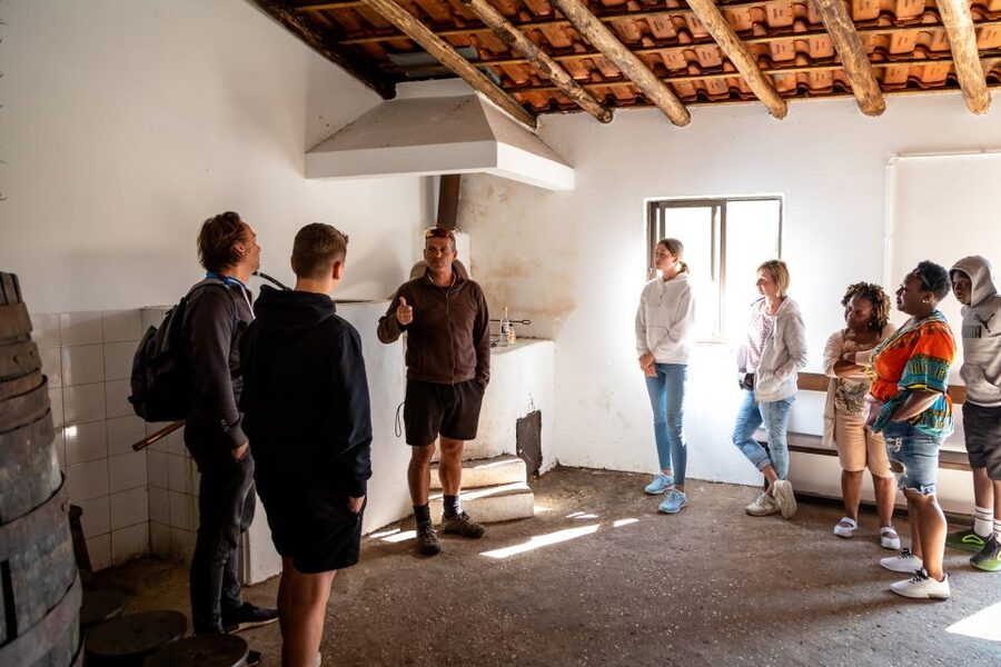 Algarve: Jeep Safari with Distillery Visit & Lunch - Is $84 good value for 7.5 hours?
