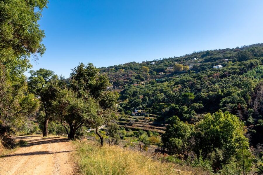 Algarve: Jeep Safari with Distillery Visit & Lunch - Medronho, the Algarve’s strong local spirit