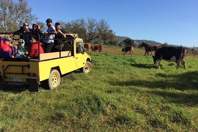 Algarve Mountains & Villages - Half Day Jeep Safari Trip - At a glance