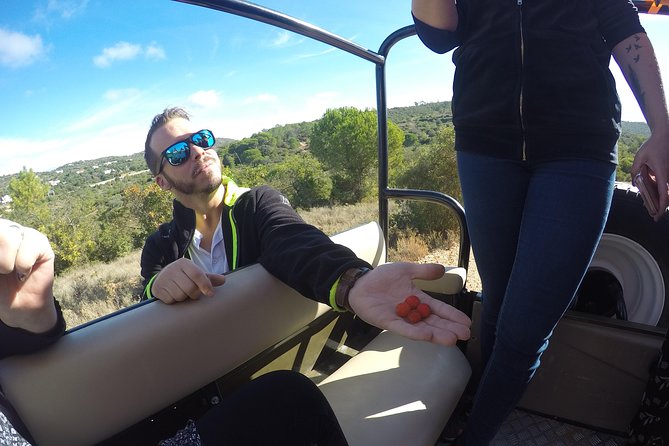 Algarve Safari - Full Day Tour from Albufeira w / lunch - Lunch with Portuguese recipes and local produce