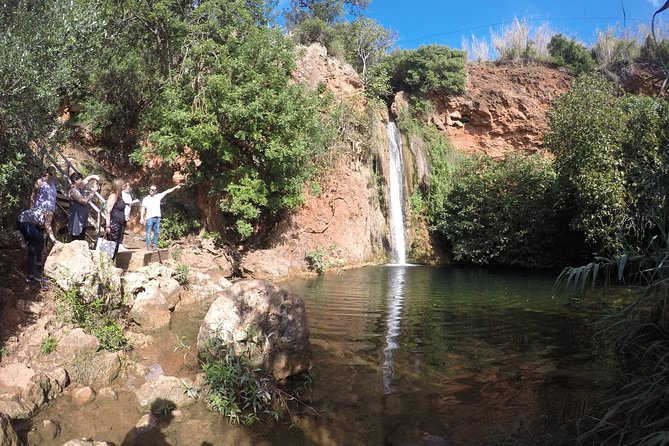 Algarve Safari - Full Day Tour from Albufeira w / lunch - Paderne village and the slower side of Portugal