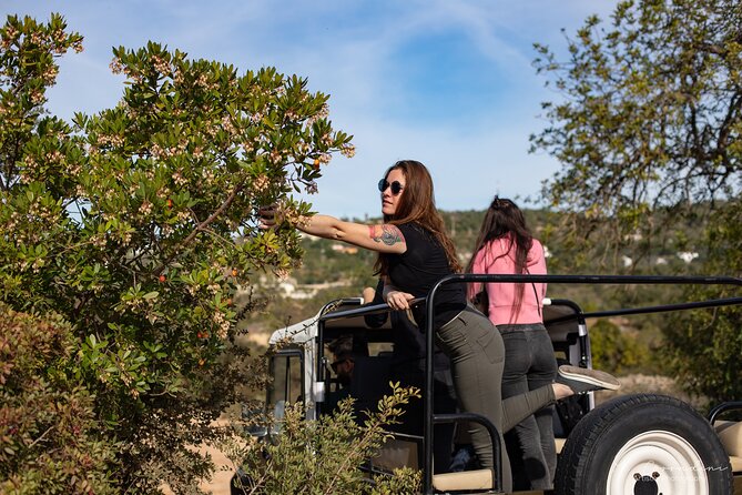 Algarve Safari - Half Day from Albufeira - Forty minutes around Paderne