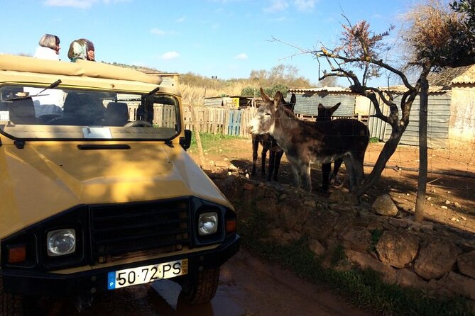 Algarve Sunset Experience - Half Day Jeep Safari Trip - Who will enjoy this jeep safari most?