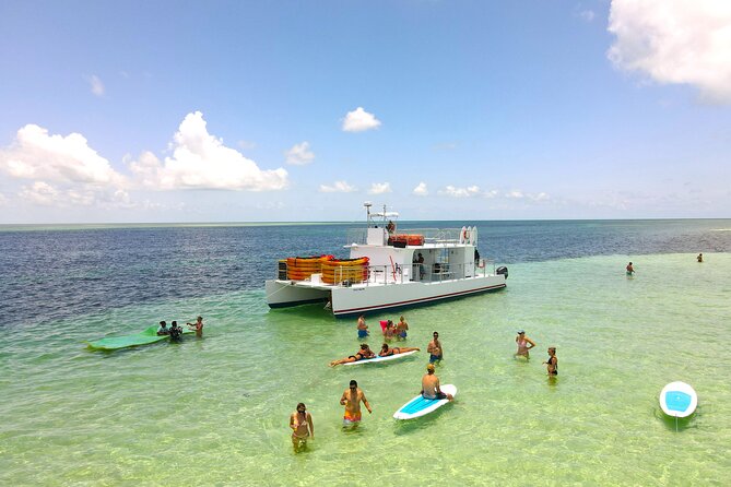 All-Inclusive Sandbar Safari with Dolphin Playground Encounter - Searching for dolphins in the marine sanctuary