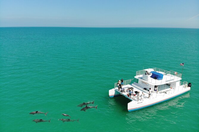 All-Inclusive Sandbar Safari with Dolphin Playground Encounter - Lunch, drinks, and the all-inclusive value