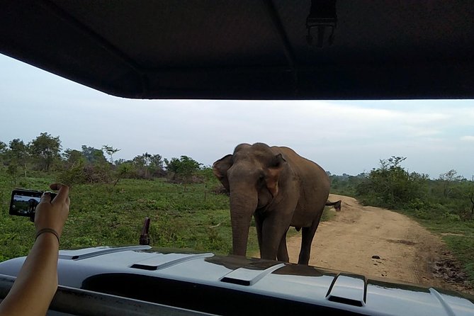 All Inclusive Udawalawe National Park Safari Day Tour from Colombo and Negombo - The early road journey from Colombo or Negombo
