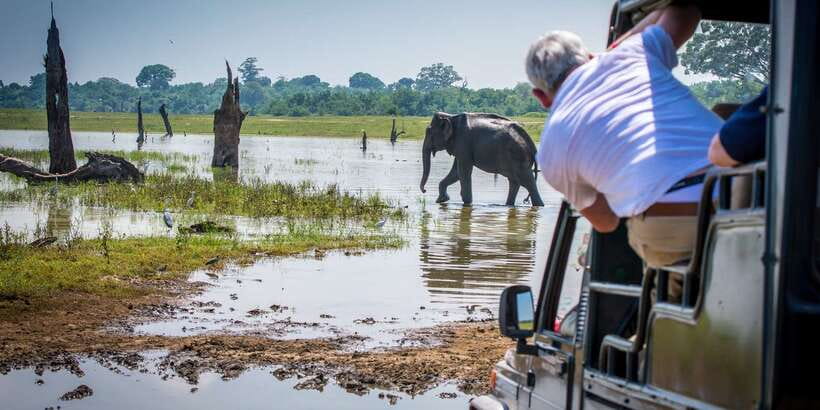 All inclussive Udawalawa National Park Safari From Colombo - Pickup, cancellation, and practical details