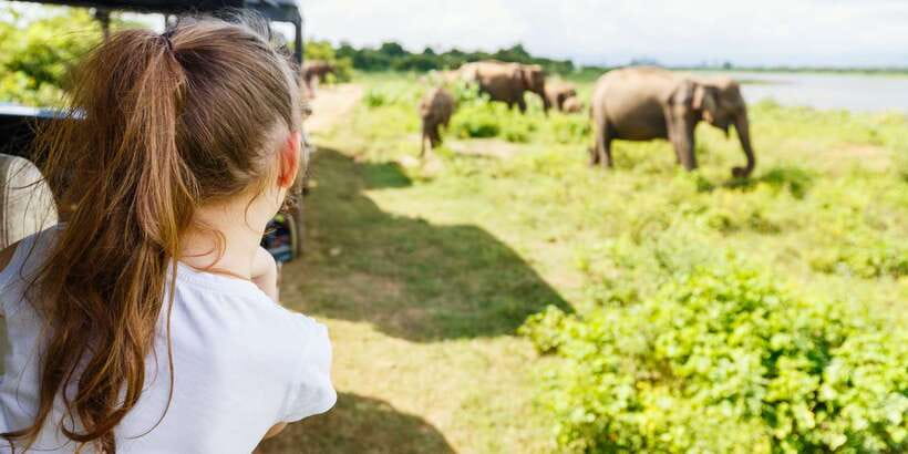 All inclussive Udawalawa National Park Safari From Colombo - Is $225 a fair price for a 12-hour day?