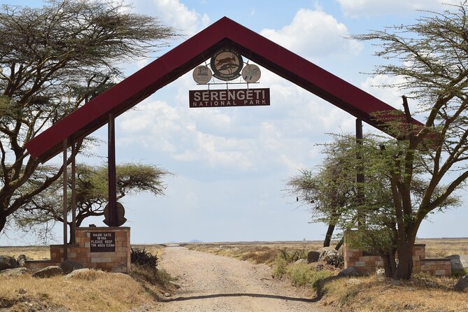 Amazing 4 Days Tanzania Budget Camping Group Joining Safari - Day 3: A full Serengeti game-viewing day