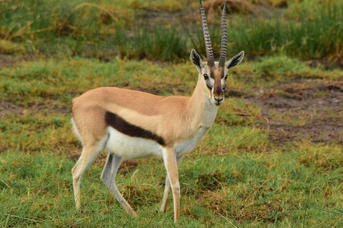 Amazing 4 Days Tanzania Budget Camping Group Joining Safari - Who should choose this safari?
