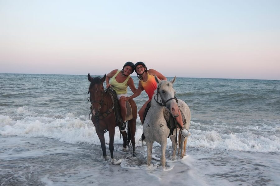 Antalya: Lara Beach & Forrest Horse Riding Safari - Key Points Before You Book