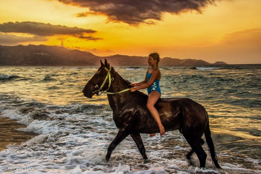 Antalya: Lara Beach & Forrest Horse Riding Safari - A Gentle Ride From Trees to Sea