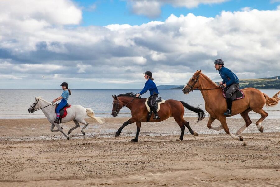 Antalya: Lara Beach & Forrest Horse Riding Safari - Reaching Lara Beach on Horseback