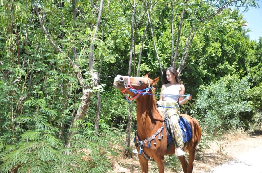 Antalya: Lara Beach & Forrest Horse Riding Safari - What the $58 Price Includes