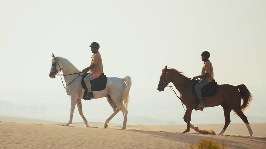Antalya: Lara Beach & Forrest Horse Riding Safari - Should You Book the Antalya Lara Horse Riding Safari?