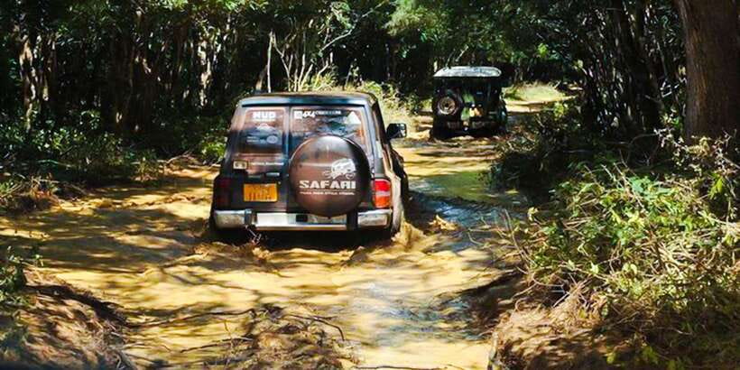 Anuradhapura: Full-Day Wilpattu All Inclusive Private Safari - Other wildlife adds depth to the day
