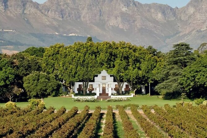 Aquila Game Reserve Safari with wine tasting, Transport & Lunch - What the game drive is really like