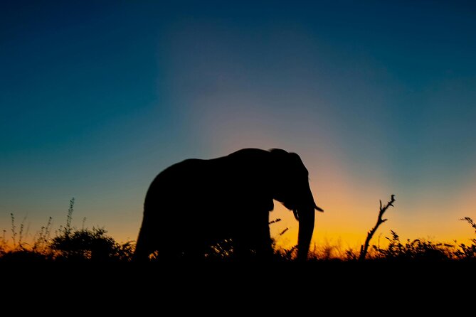 Aquila Game Reserve Sunset Safari - Key points to know before you book