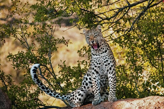 Aquila Game Reserve Sunset Safari - The noon departure and road through Paarl