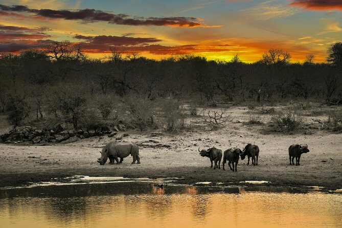 Aquila Game Reserve Sunset Safari - Why sunset may be better than a daytime drive