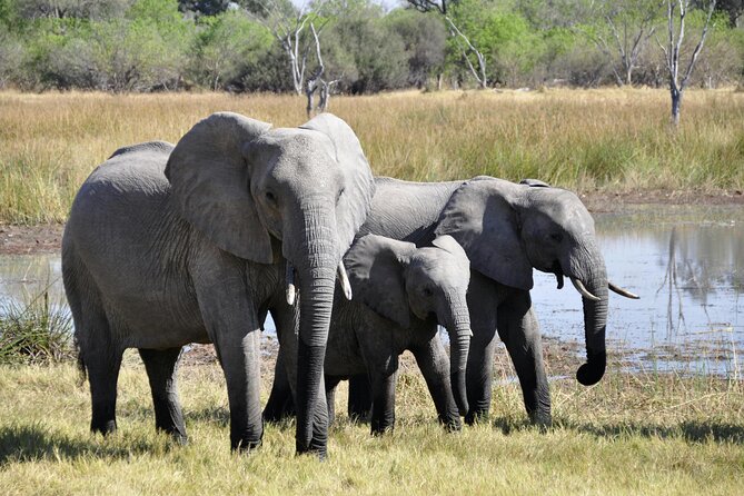 Aquila Game Reserve Sunset Safari - Booking, cancellation, and group details