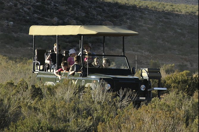 Aquilla BIG5 private Safari Cape Town - Is $231.26 per person good value?
