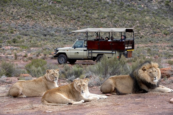 Aquilla BIG5 private Safari Cape Town - Touws River and the midday arrival