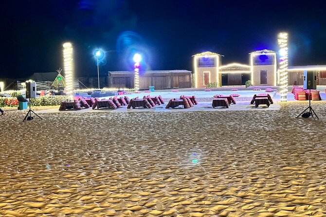 Arabian Desert Safari Abu Dhabi: 6Hour Tour with BBQ & Live Shows - Who will get the most from this safari