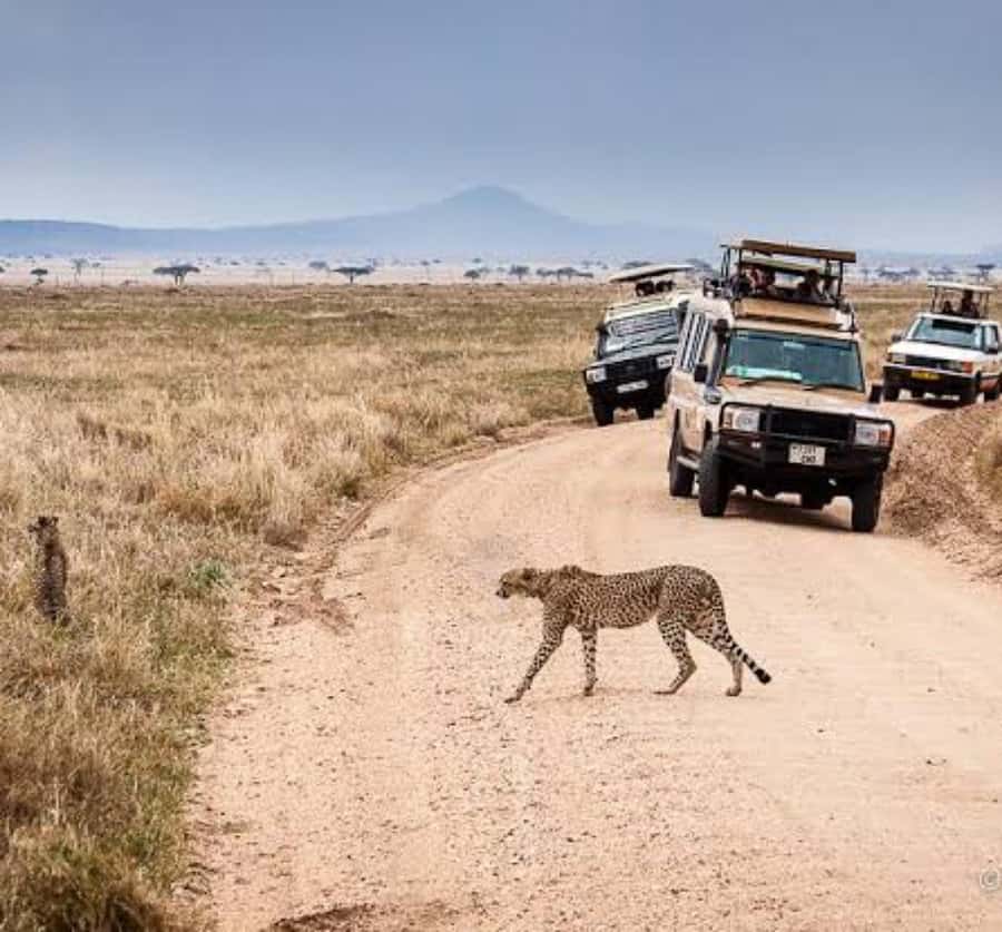 Arusha: 3-Day Serengeti & Ngorongoro Crater Big Five Safari - Key points at a glance