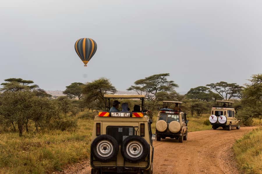 Arusha: 3-Day Serengeti & Ngorongoro Crater Big Five Safari - Day 1: Arusha to the open plains of Serengeti