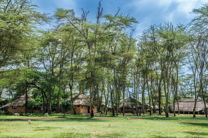 Arusha: 5 days Safari Trip Tarangire, Lake Manyara and Ngorongoro - A compact Northern Circuit safari from Arusha