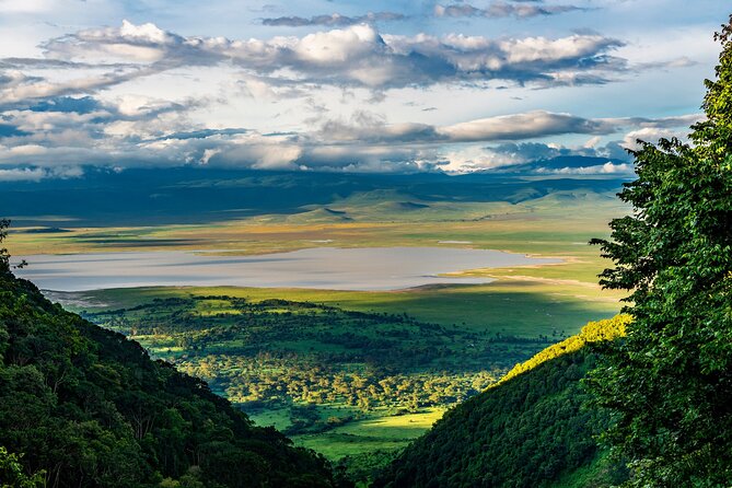 Arusha: 5 days Safari Trip Tarangire, Lake Manyara and Ngorongoro - Day one: Tarangire’s elephants and baobab country