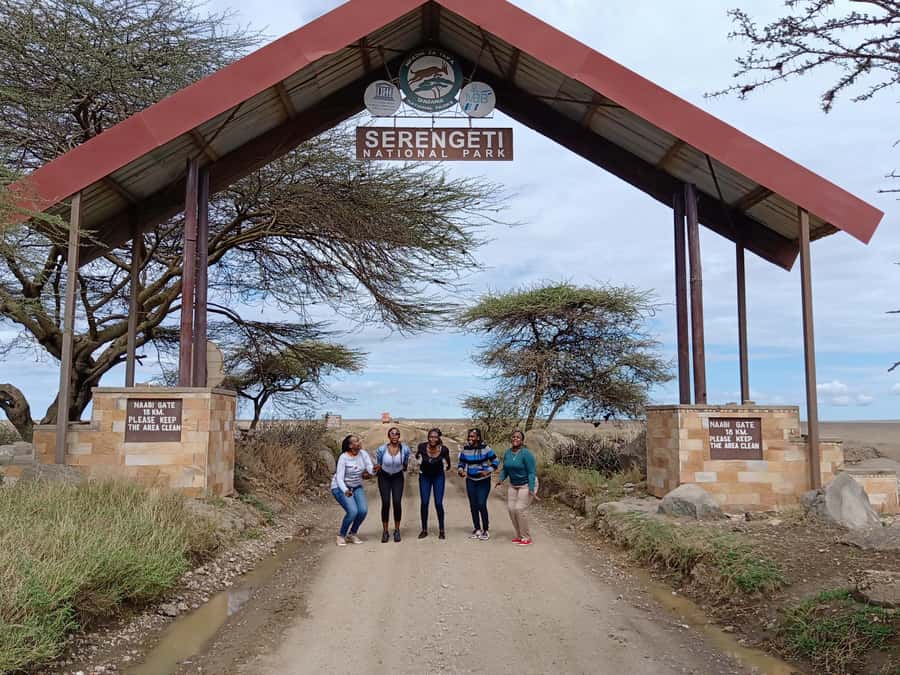 Arusha: Serengeti and Ngorongoro Multi-Day Camping Safari - Day Two: A Full Day Across the Serengeti