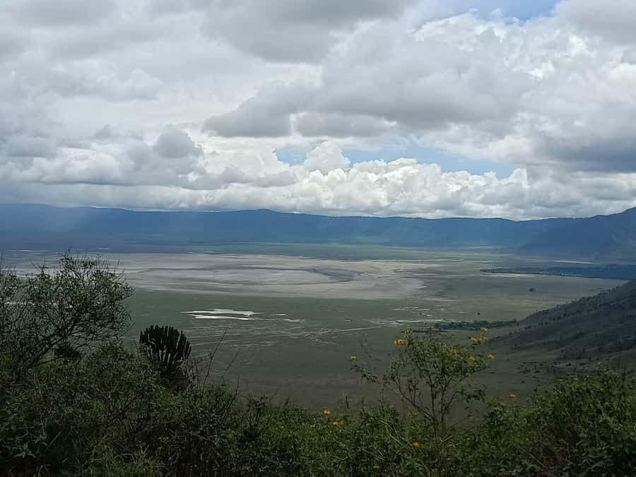 Arusha: Serengeti and Ngorongoro Multi-Day Camping Safari - Guides, Chefs, and the Shared Vehicle