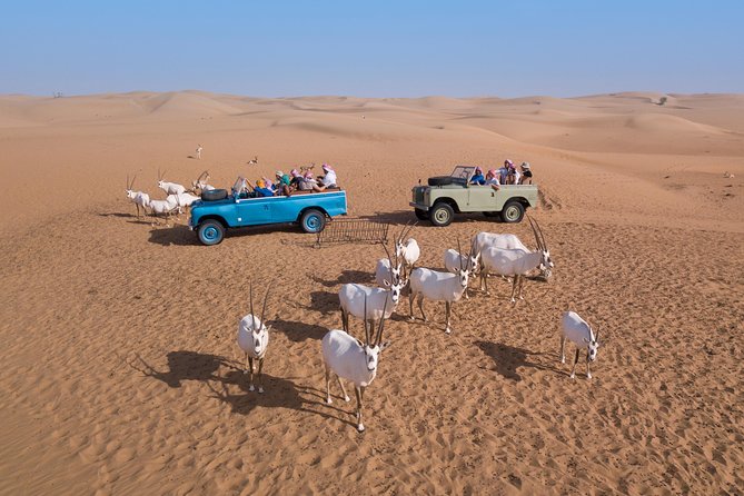 Authentic Safari in Vintage Land Rover with Traditional Dinner - A four-course Emirati dinner, with a few caveats