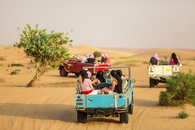 Authentic Safari in Vintage Land Rover with Traditional Dinner - A one-hour vintage Land Rover nature drive