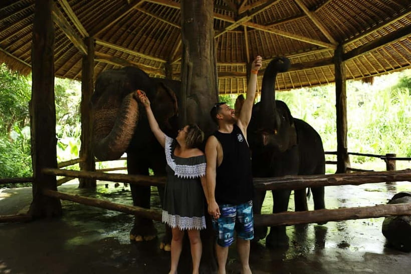Bali: Taman Safari and Elephant Feeding with Hotel Transfer - Key points to know before booking