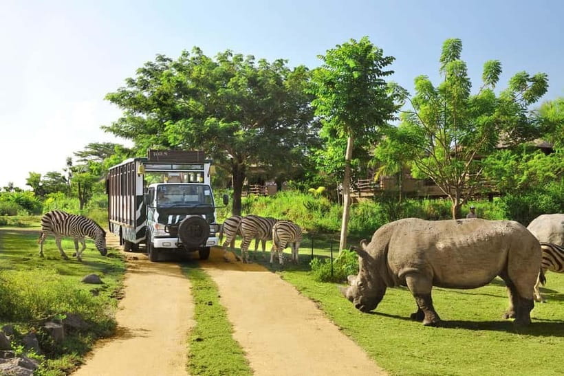 Bali: Taman Safari and Elephant Feeding with Hotel Transfer - Feeding an elephant with your own hands