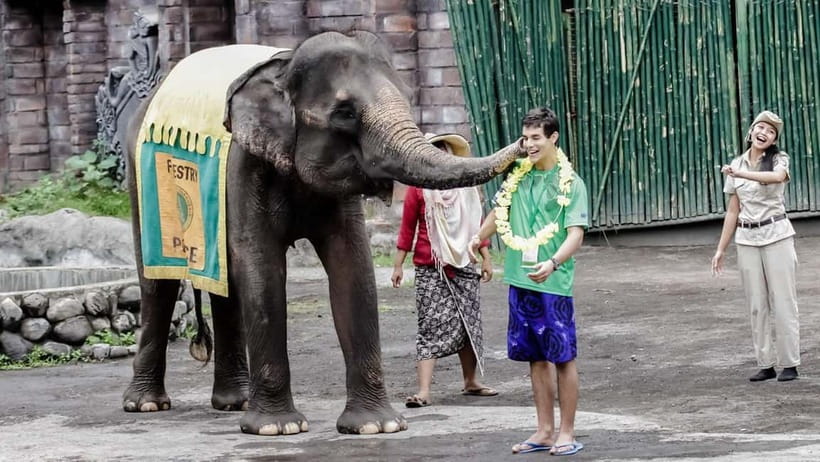 Bali: Taman Safari and Elephant Feeding with Hotel Transfer - Who will enjoy this Taman Safari visit most?